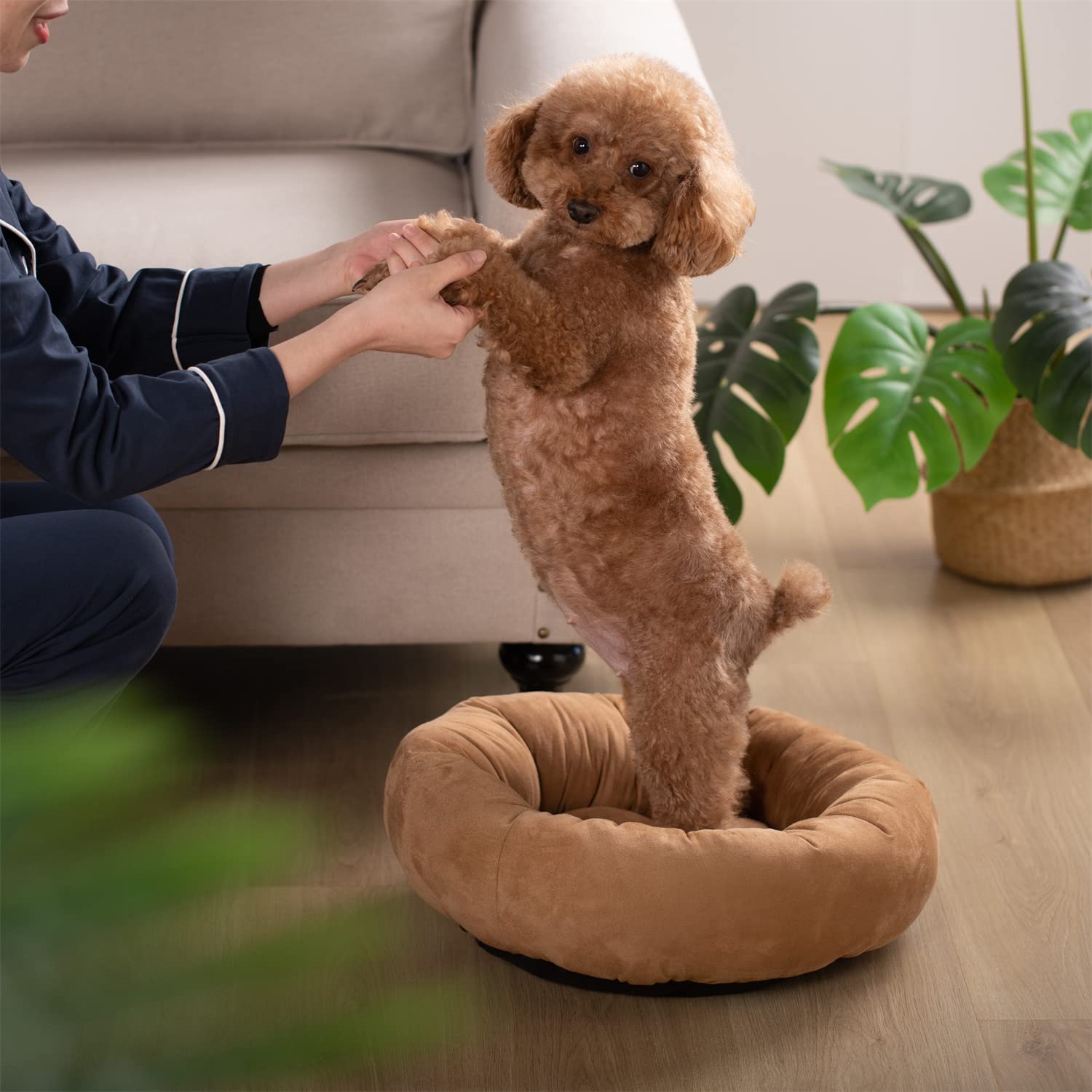 Kasentex Donut Design Round Dog Bed, Anti Slip and Machine Washable